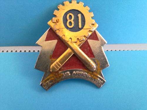 81 TECHNICAL STORES DEPOT BERET BADGE
